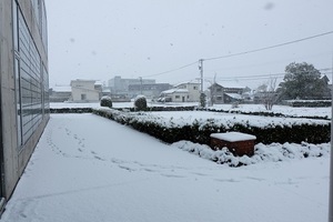 DSCF2404.JPG