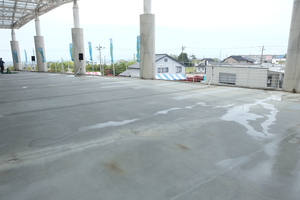DSCF9787.JPG