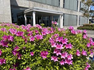 IMG_1359.jpg