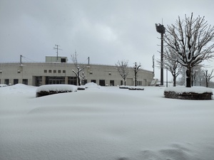 IMG_20220120_144441.jpg